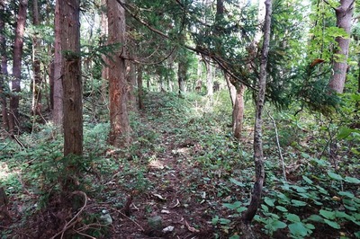 東曲輪 頂上手前