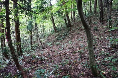 脇壕道の終点（南口）