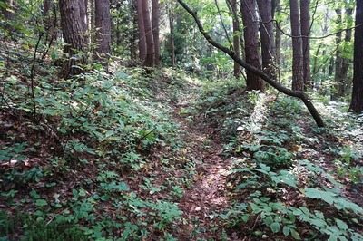 西曲輪から三の陣地への壕道
