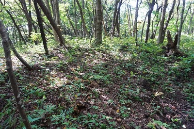 二の陣地