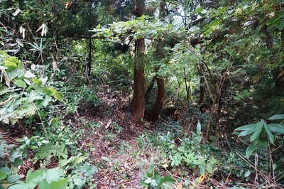 西遺構入口