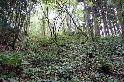 下段状壕道から二の陣地をみる
