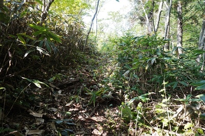 三の陣地への壕道