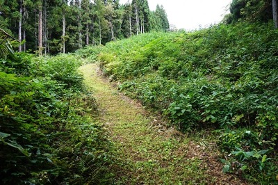 高圧電線鉄塔保安路　頂上が三の陣地