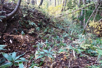中央遺構　広壕道の東端