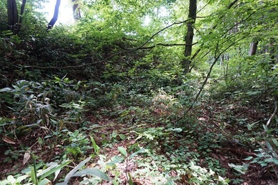中央遺構　広壕道の西端、広場