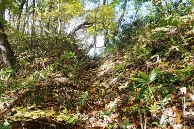 西遺稿　東の竪堀
