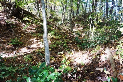 遺稿　壕道分かれの中央道