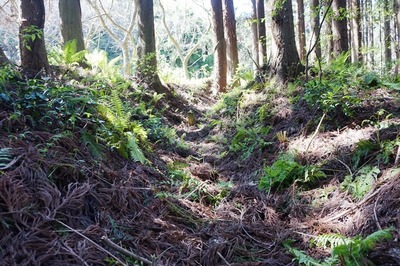 陣所跡の堀