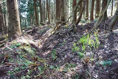 方形居館跡　東側長辺と北側短辺角の堀