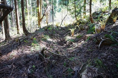 方形居館跡　西側長辺　土塁外側の堀