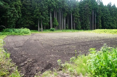 方形居館跡　南西角から見る全景