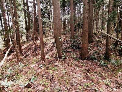 環濠集落跡　正面の切岸