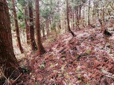 環濠集落跡　東側に回り込む
