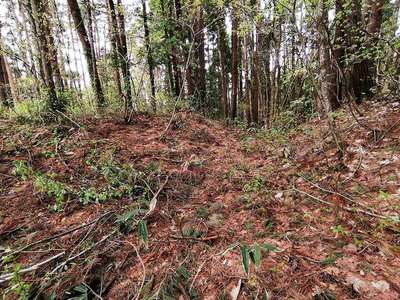 環濠集落跡　裏面の縁