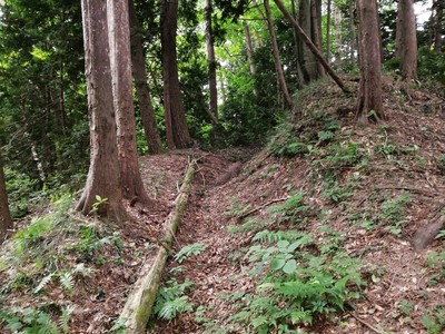 西方尾根筋壕道群-切り通し壕道５