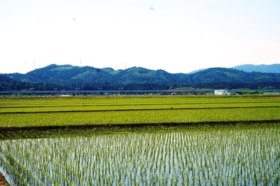 大阪山館跡のある山域