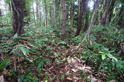 二の陣地にある壕道