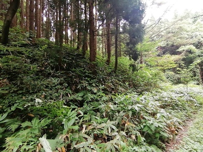 一の陣地の麓　六枚橋林道終点Ｙ字路