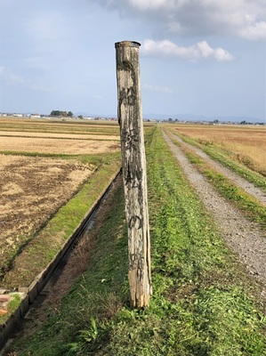 船繋松標柱