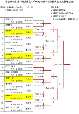 2016年第26回総合競技大会軟式野球競技