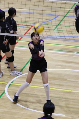 2024年新人大会予選