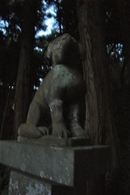 （滝）馬室氷川神社