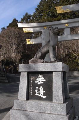 三峯神社の三柱鳥居の狼