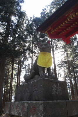 三峯神社参道