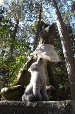 三峯神社参道