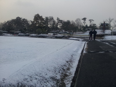 雪です!
