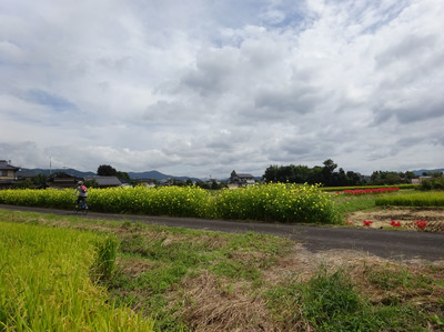 奈義町を走る_1