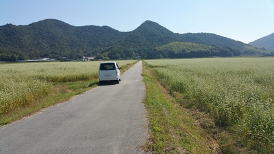もうすぐ・・新蕎麦!