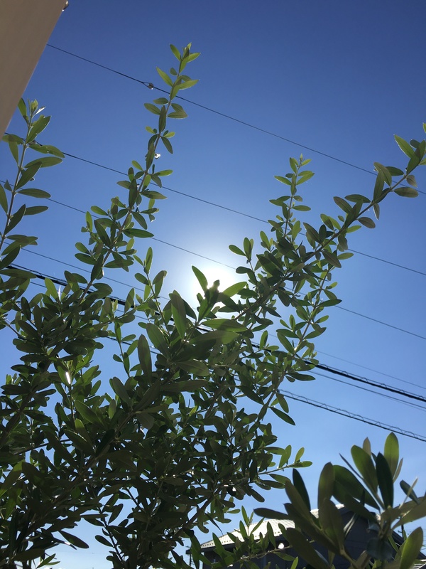 8月31日