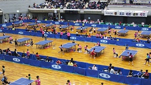 全日本卓球選手権 ホカバ その4