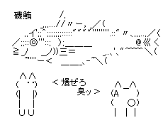 磯鮪