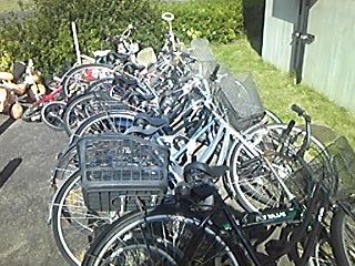 無料回収見積もり