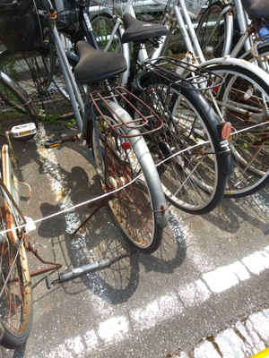 埼玉県回収