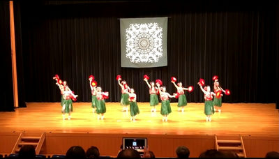 Hawaii loa in琵琶湖