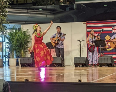 Aloha 808 Hula Carnival