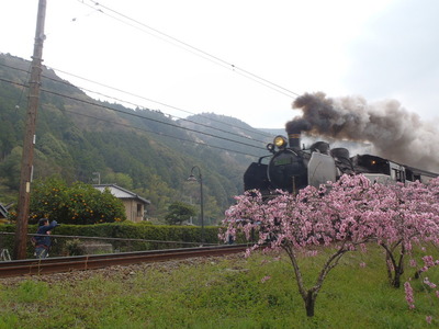 2013.3.31大井川ツーその2