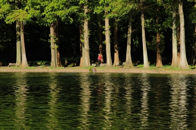 別所沼公園