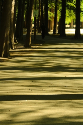 別所沼公園