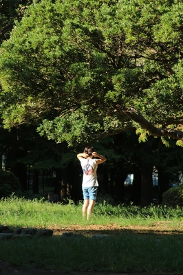 別所沼公園