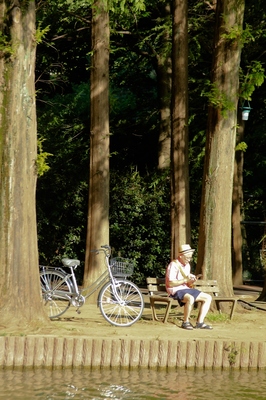 別所沼公園