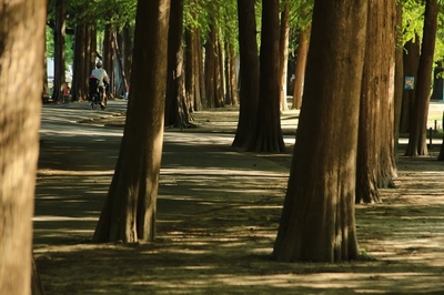 別所沼公園