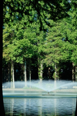 別所沼公園