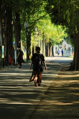 別所沼公園