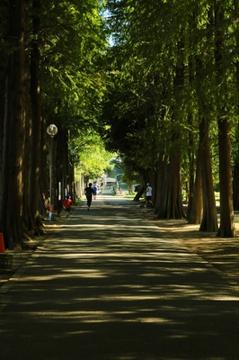 別所沼公園
