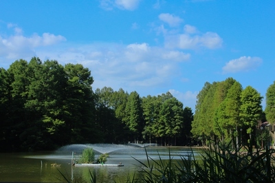 別所沼公園　(2020.08.29)